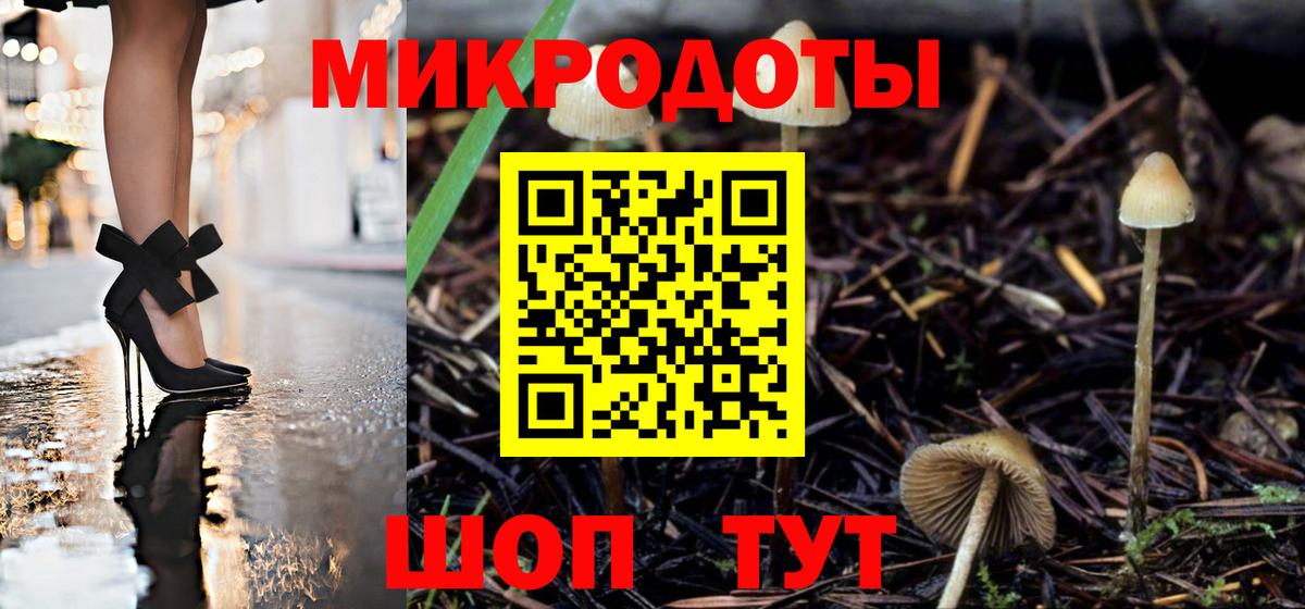 Энгельс  Псилоцибиновые грибы Cubensis  Вход с VPN  Псилоцибиновые грибы Magic Shrooms 